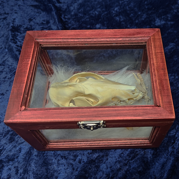 Medium Spirit Box - Image 7