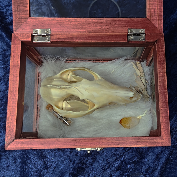 Medium Spirit Box - Image 8