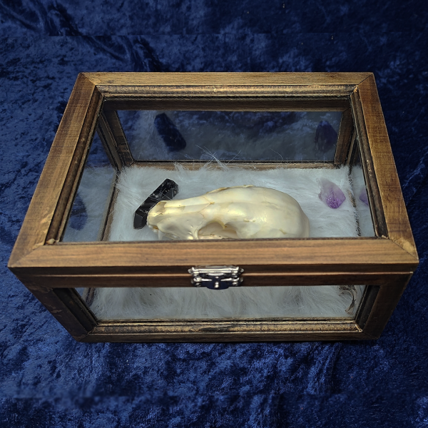 Large Spirit Box - Image 7