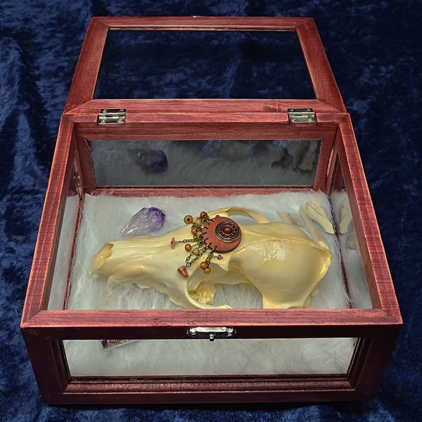 Large Spirit Box - Image 6